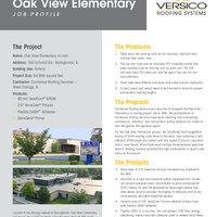 Oak View Elementary  Bolingbrook IL VersiGard EPDM Job Profile